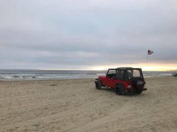 Dune Surfer